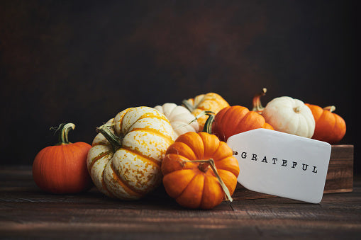 The Happiest of Thanksgivings