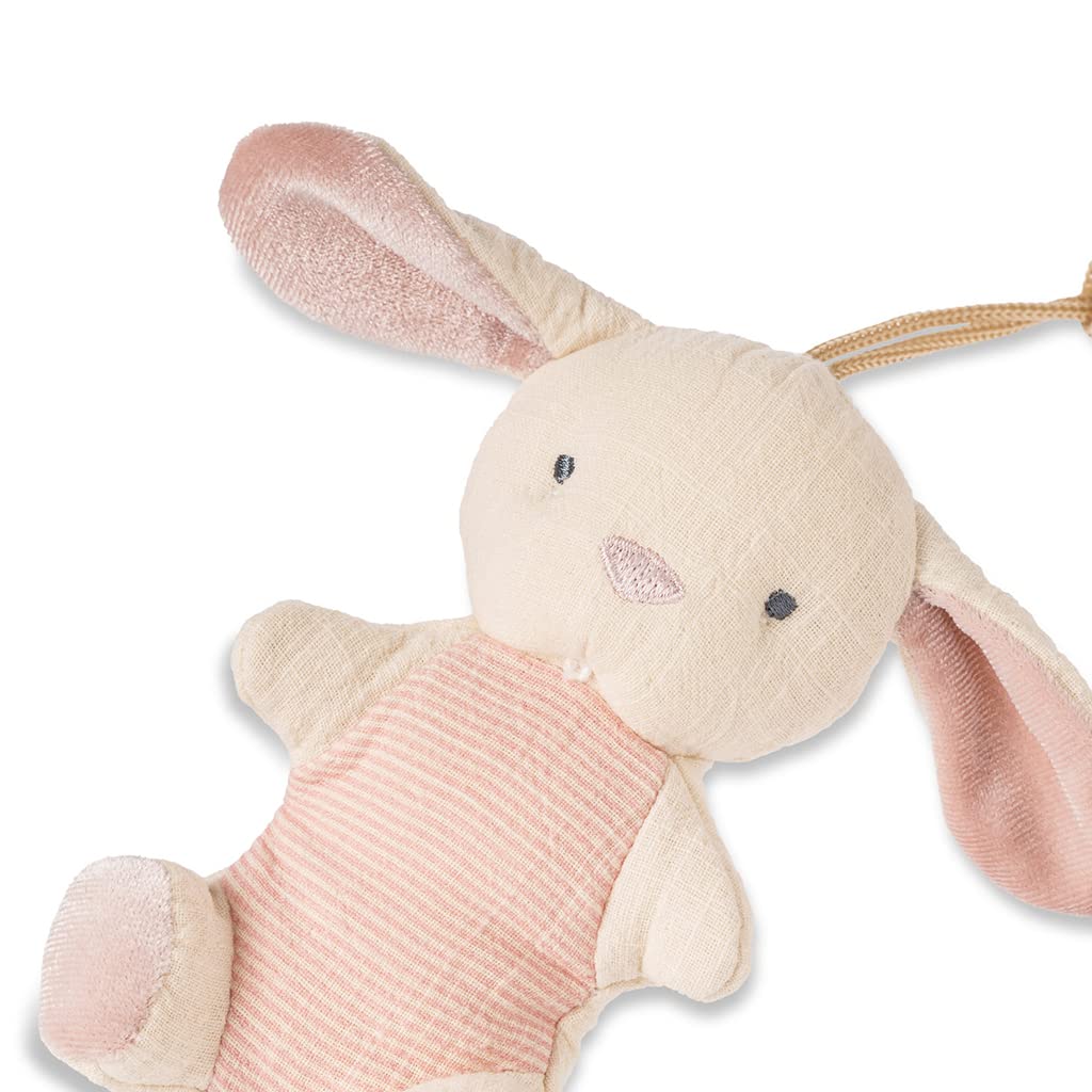 Itzy Ritzy Bitzy Pal Natural Rubber Pacifier and Lovey