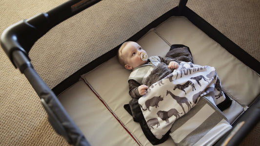 Video: At Home with the 4moms breeze plus