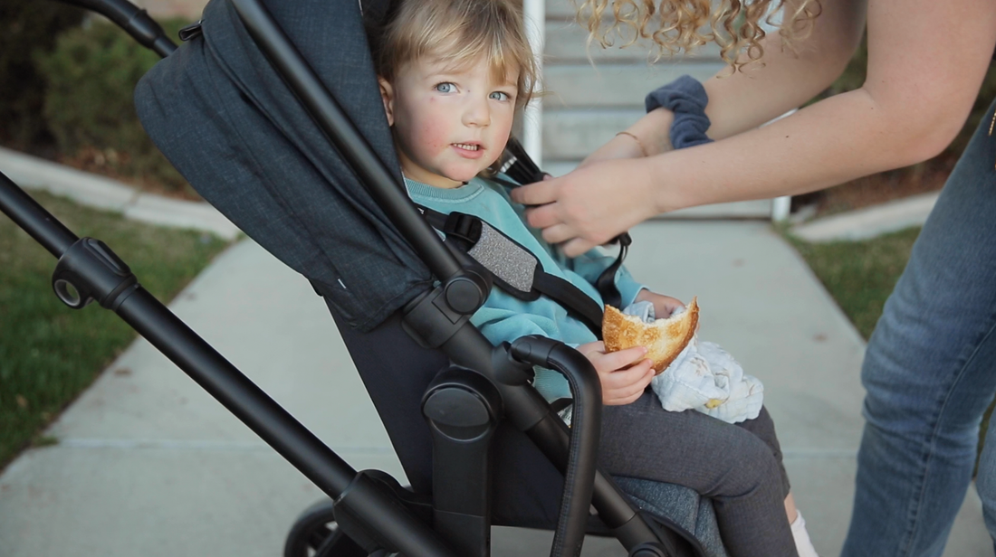 Video: Strolling with the Silver Cross Coast