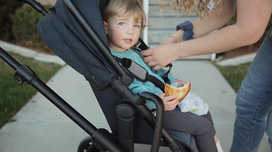 Video: Strolling with the Silver Cross Coast