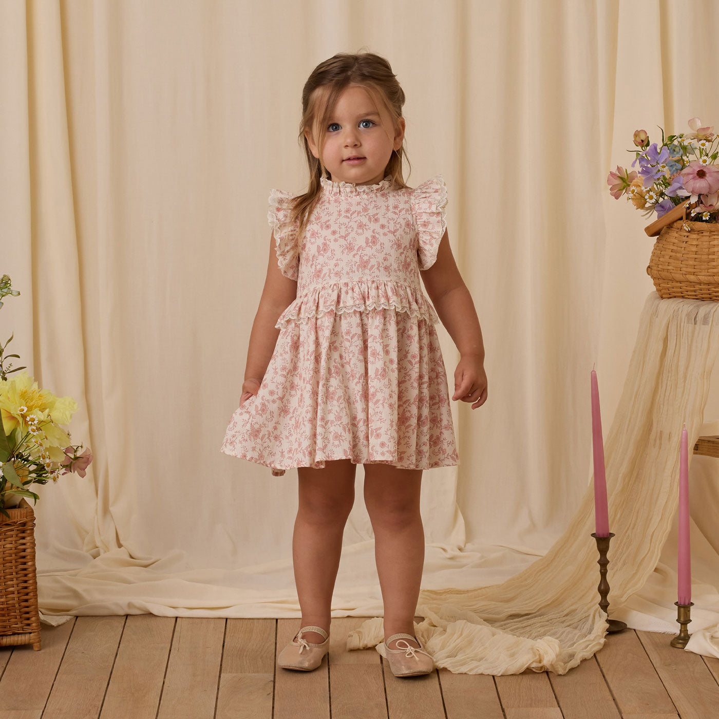 Noralee Alice Dress - Pink Toile
