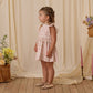 Noralee Alice Dress - Pink Toile