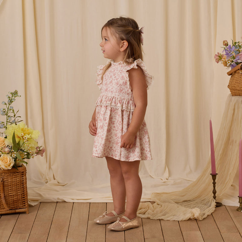 Noralee Alice Dress - Pink Toile