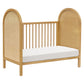 Babyletto Bondi Cane 3-in-1 Convertible Crib with Toddler Bed Kit