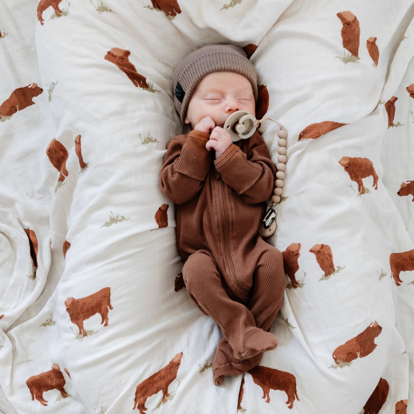 Baby Sleeping on Saranoni Bamboo Muslin Swaddle Blanket - Highland Cow