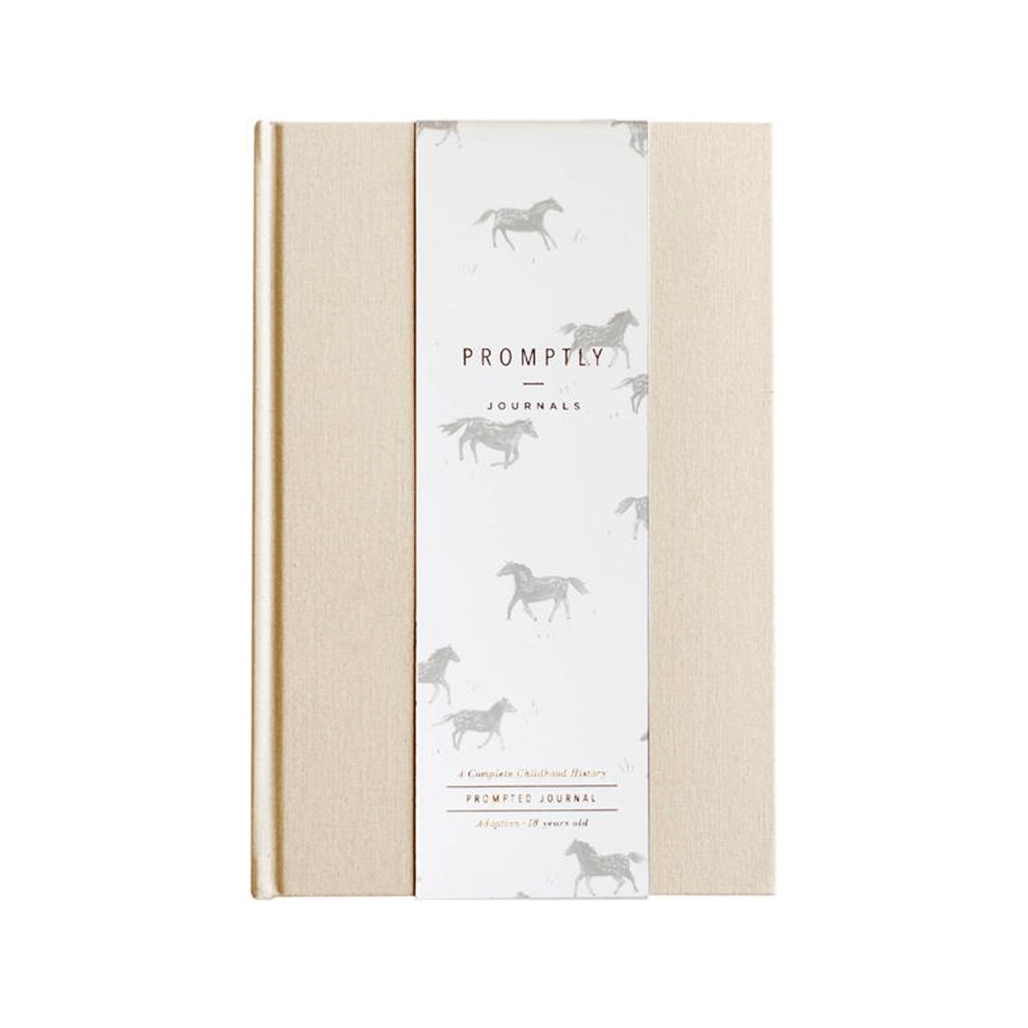Promptly Journals Adoption History Journal - Adoption to 18 Years - Sand