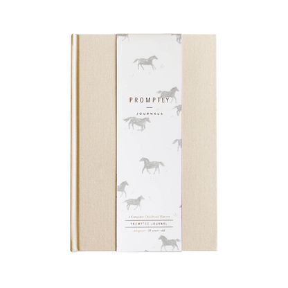 Promptly Journals Adoption History Journal - Adoption to 18 Years - Sand