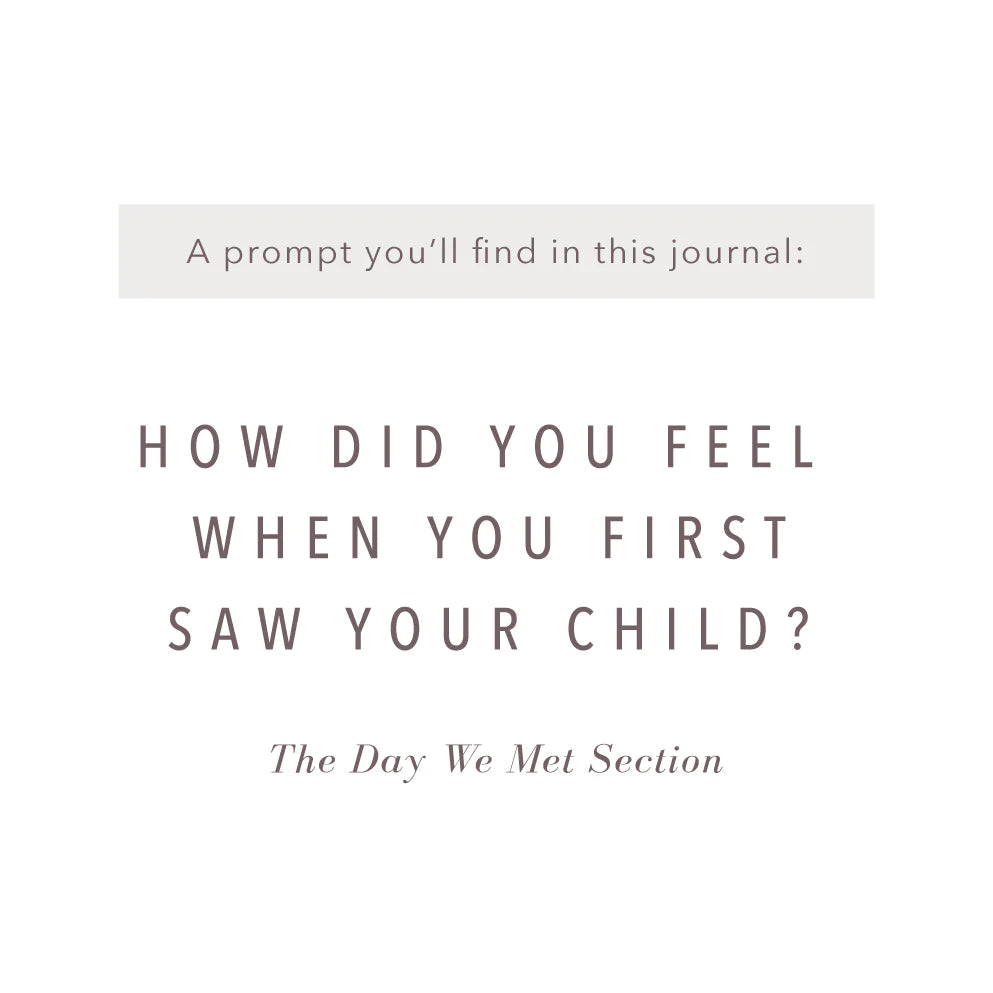 Promptly Journals Adoption History Journal - Adoption to 18 Years - Sand